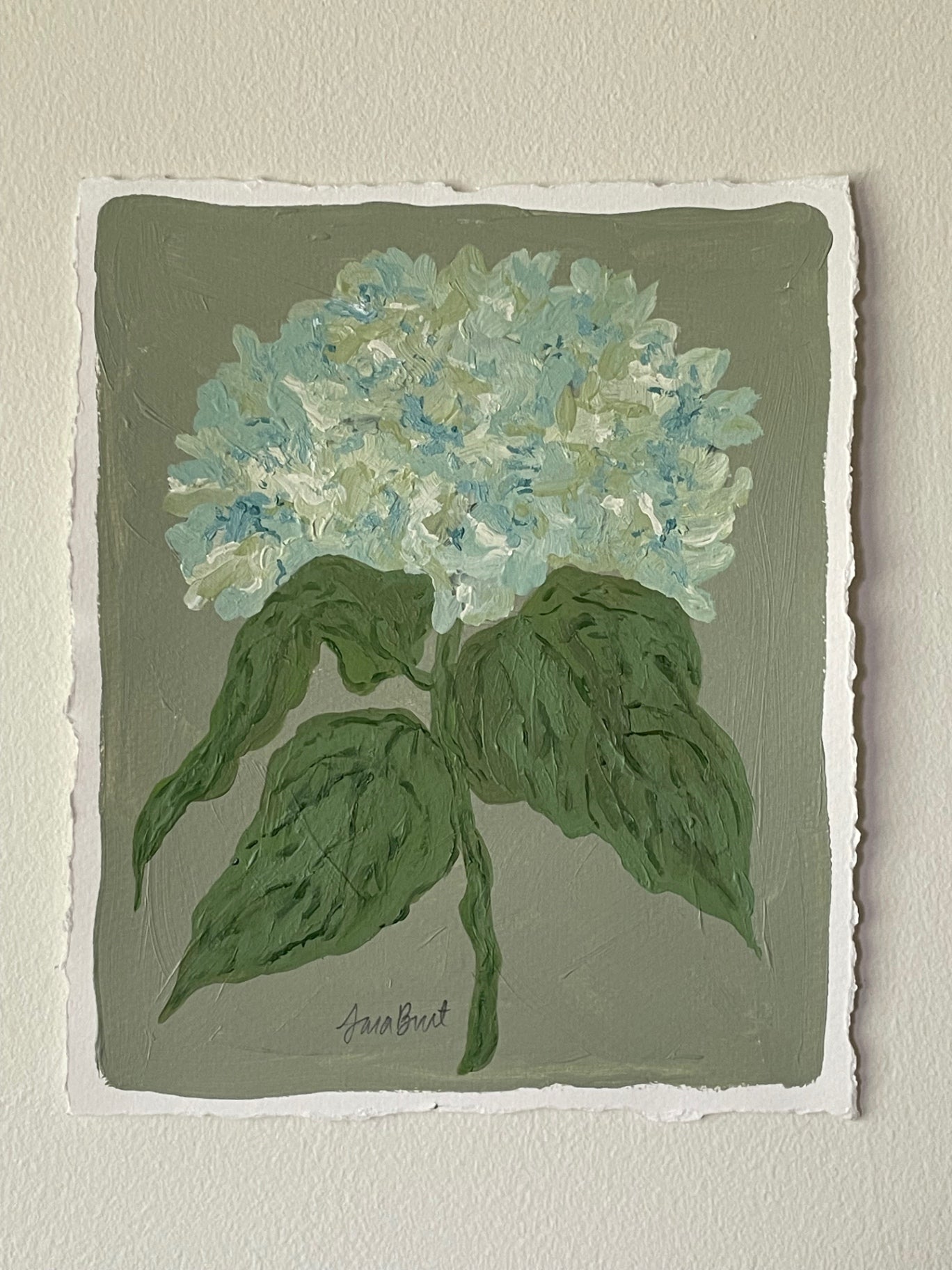 Antique Hydrangea on Green no. 3