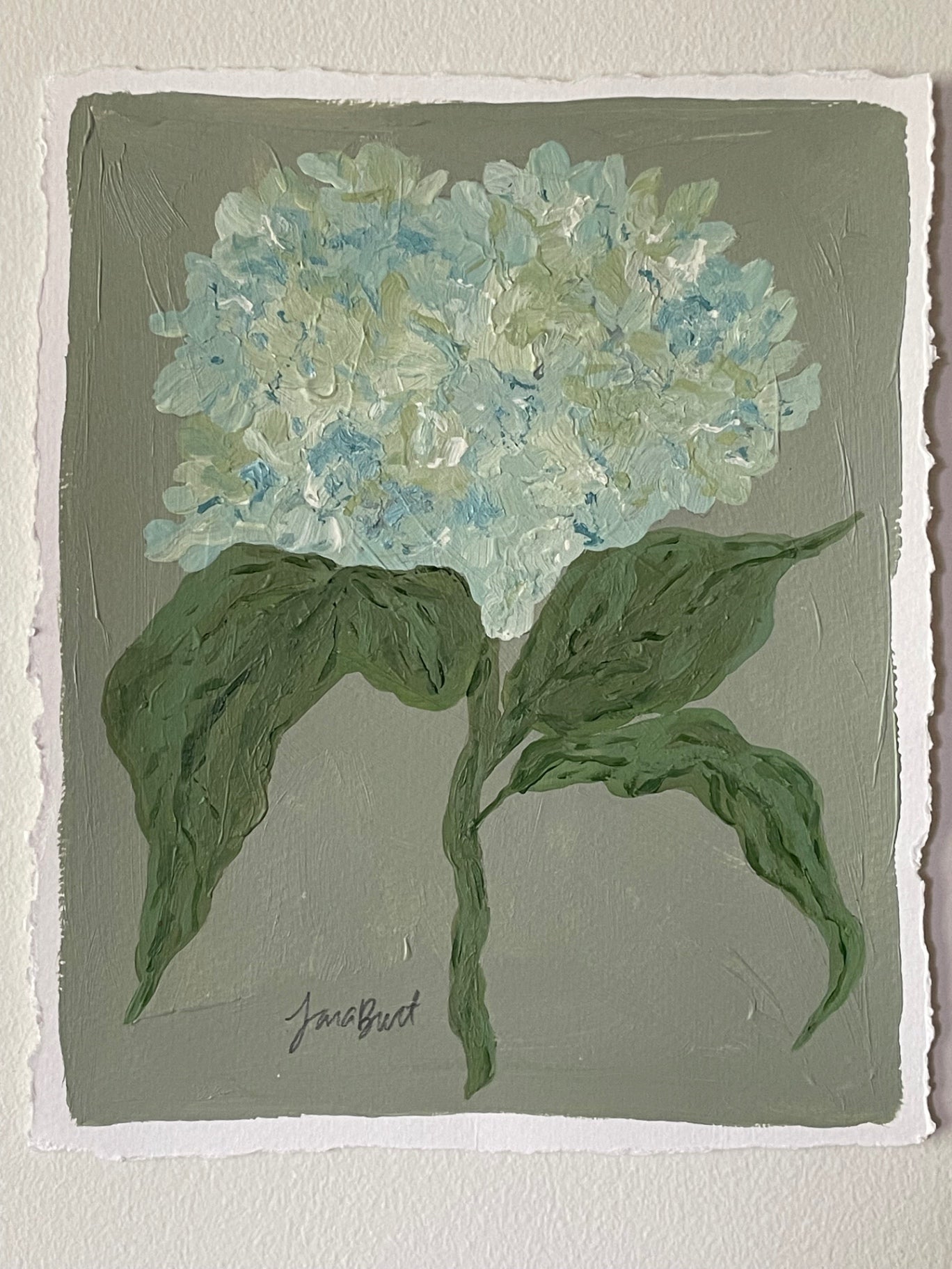 Antique Hydrangea on Green no. 2