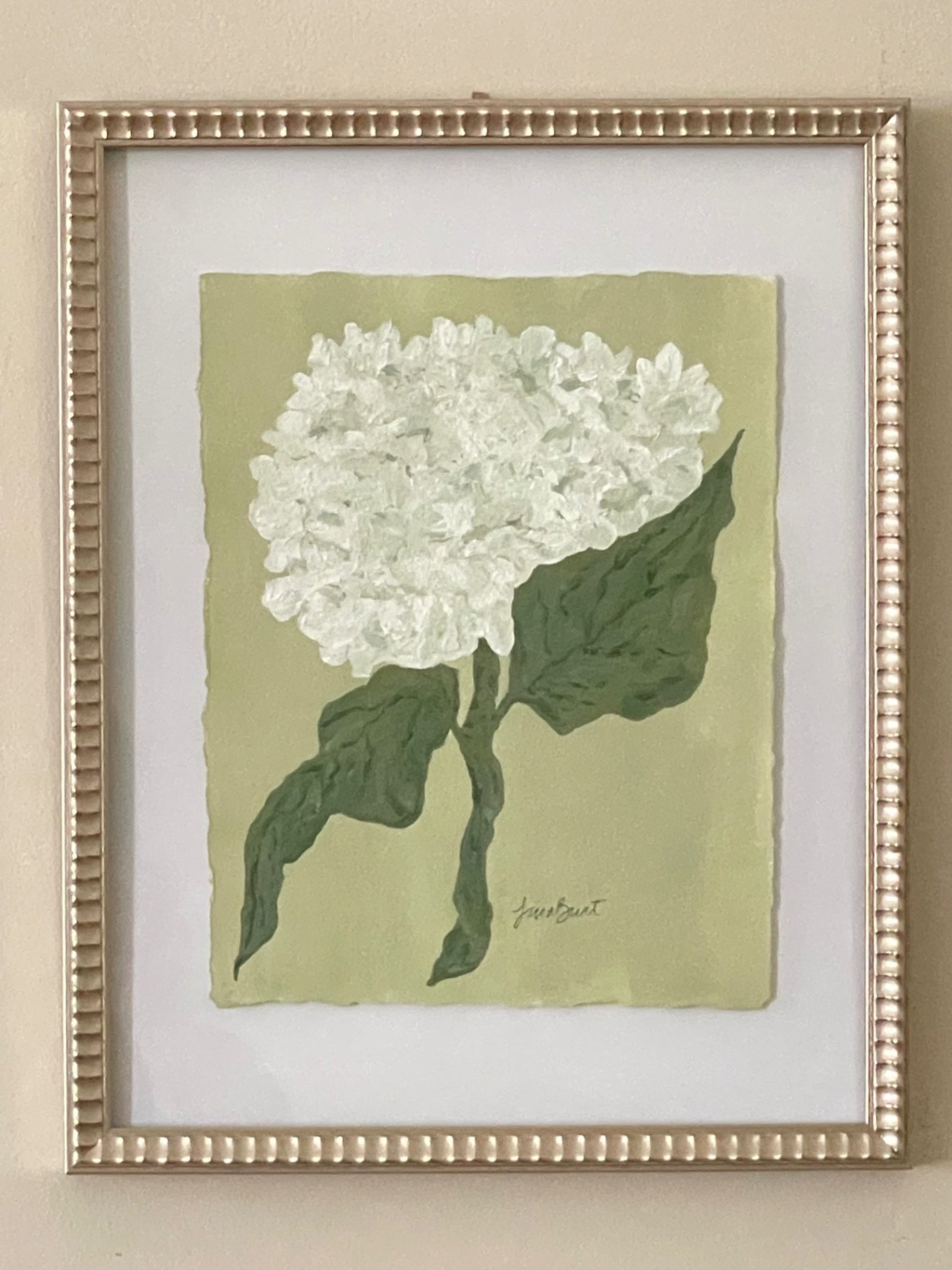 White Hydrangea on Green