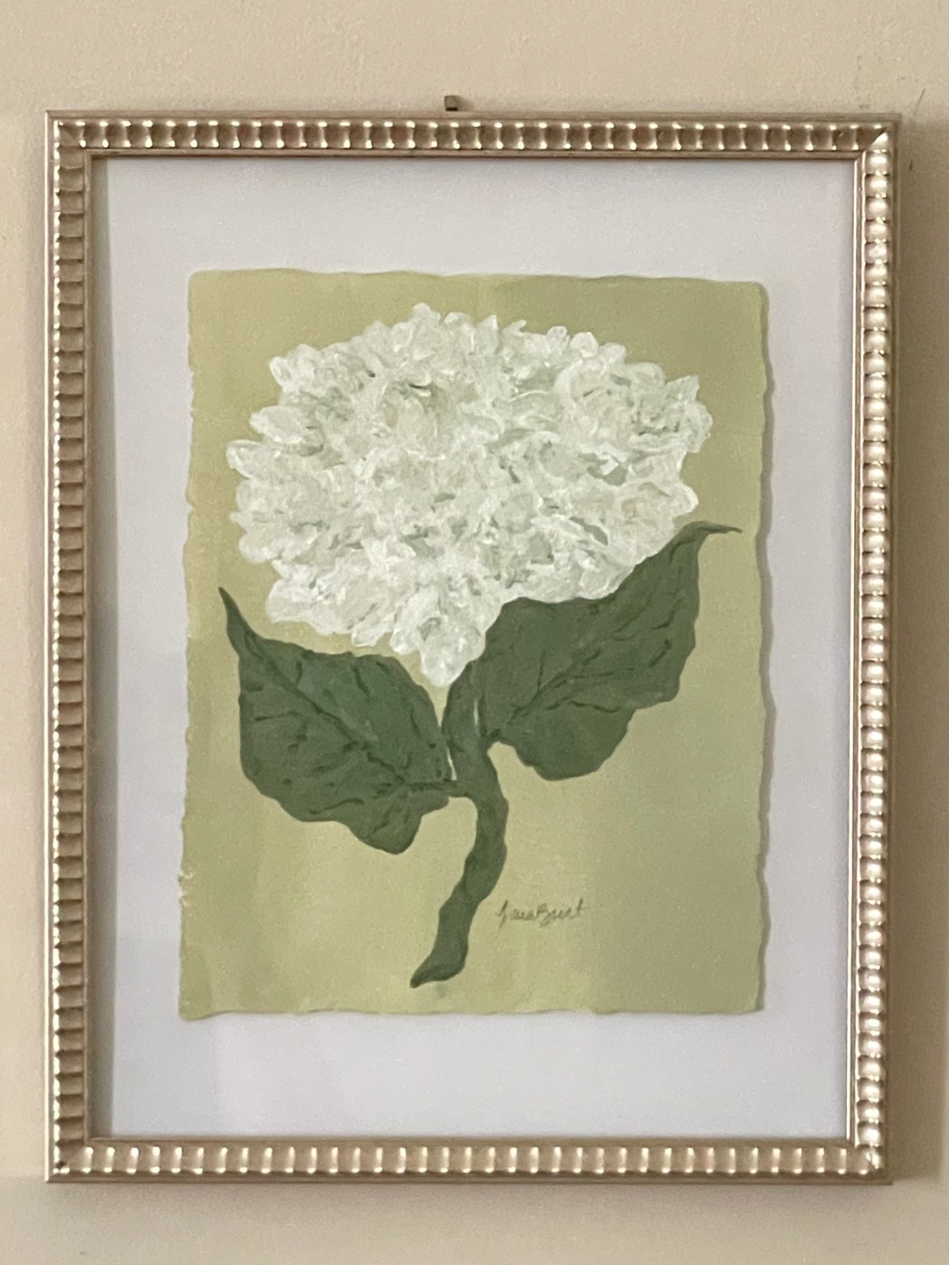 White Hydrangea on Green no. 2
