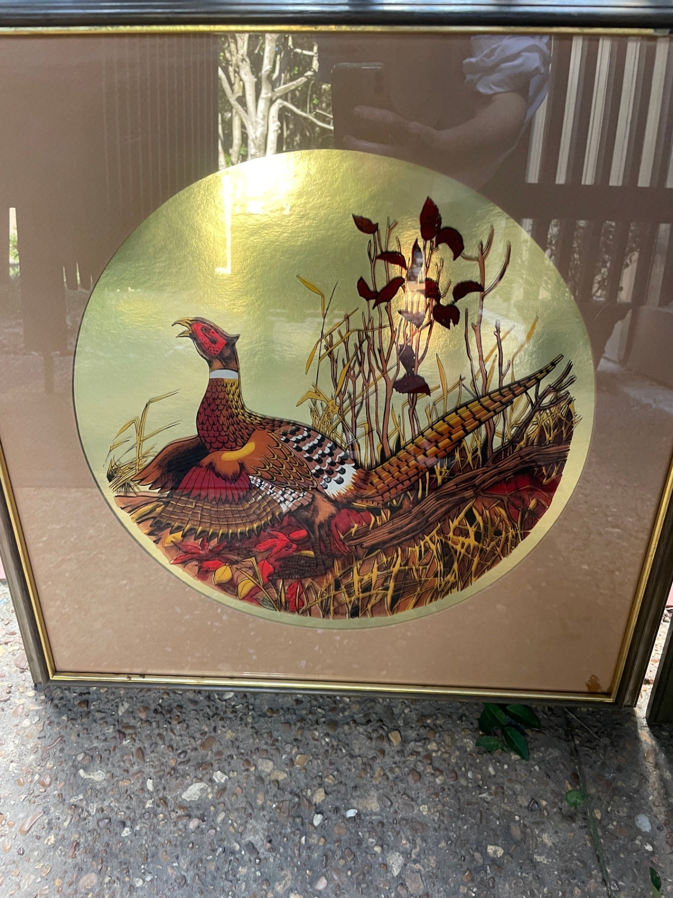 Pheasant Wall Art