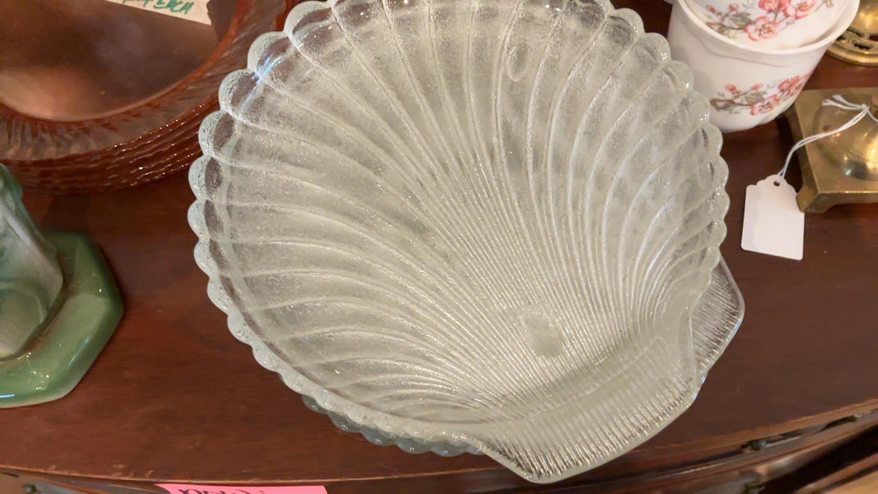 Clear Shell Plates (6 pc)