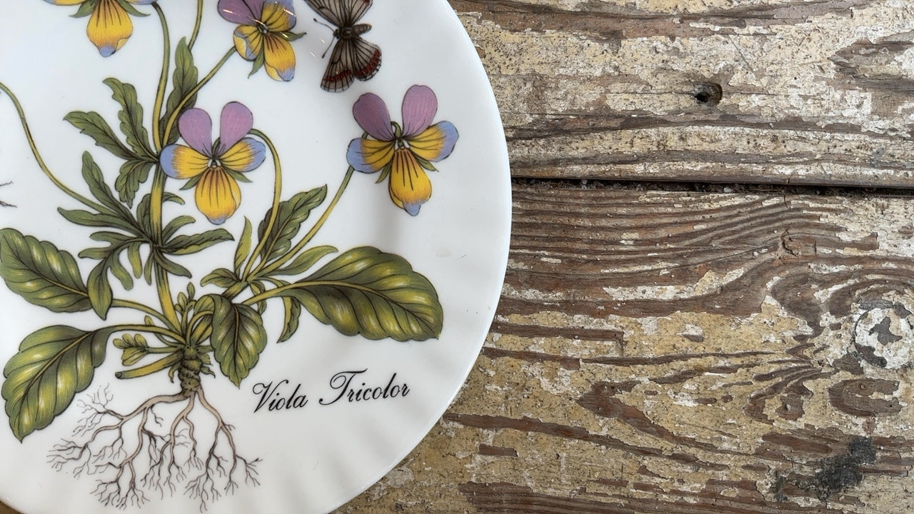 Floral & Insect Plate- Viola Tricolor (8”)