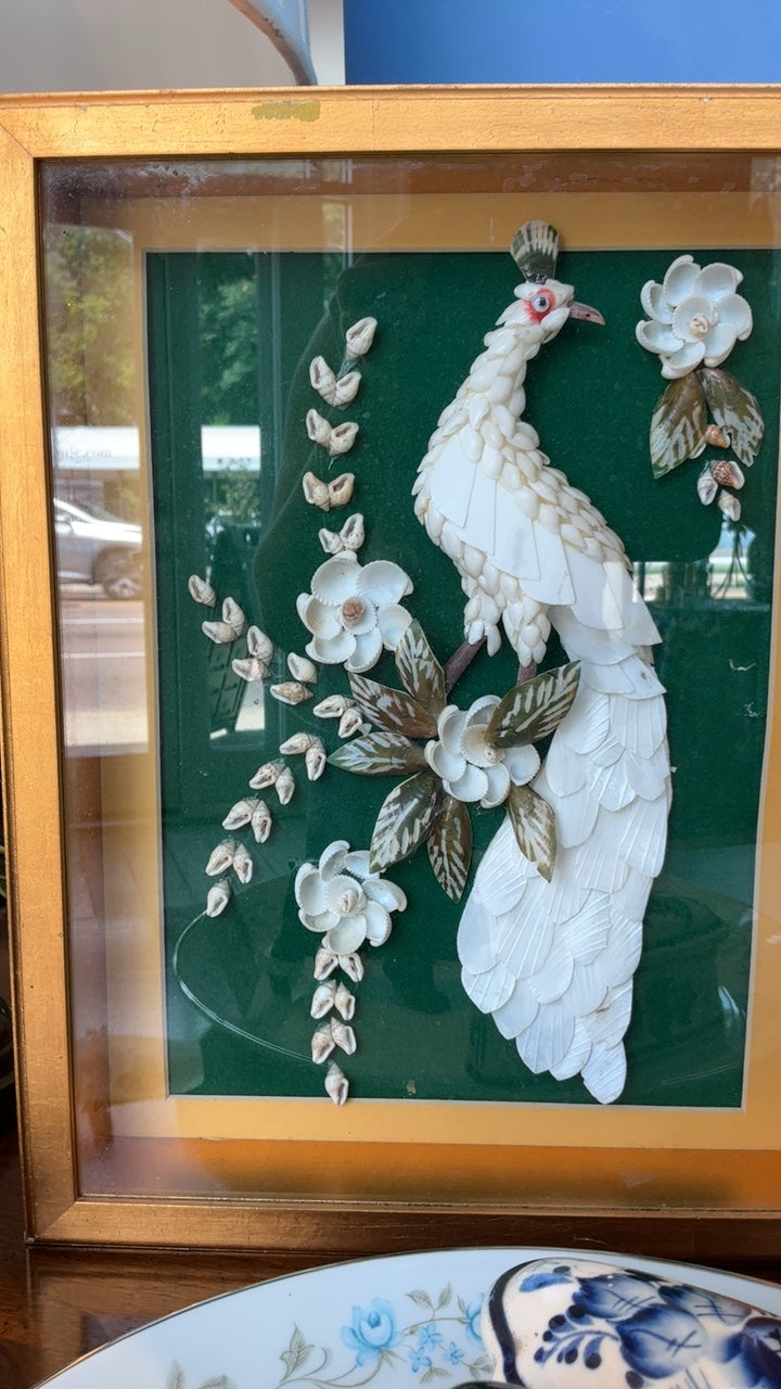Shell Bird Shadow Box