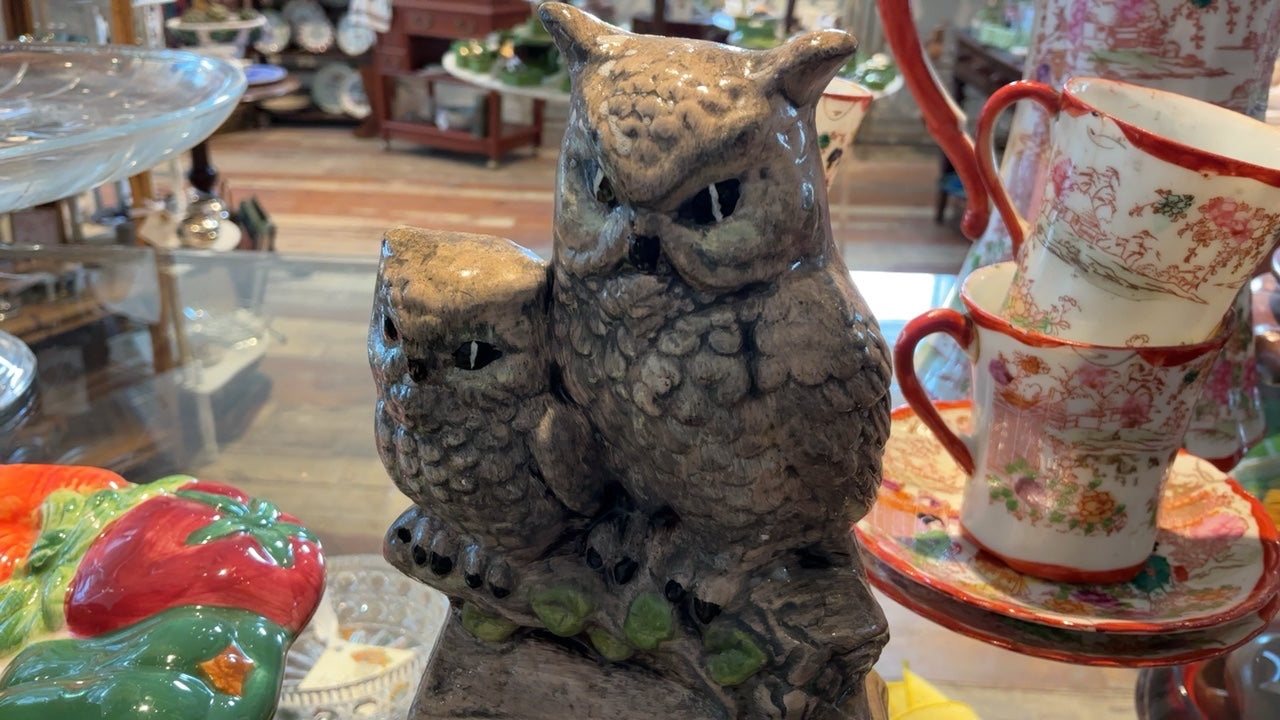 Mommy & Baby Owl