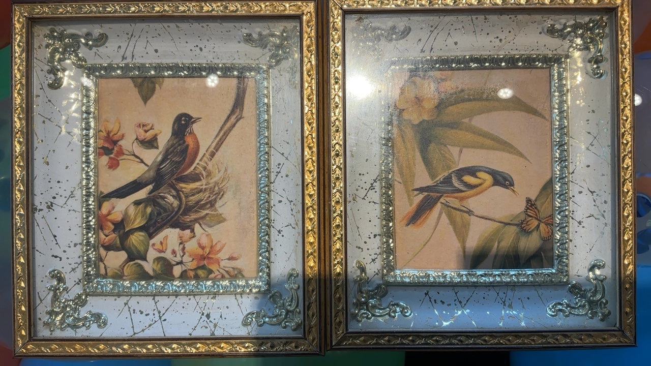 Pair of Small Bird Pictures