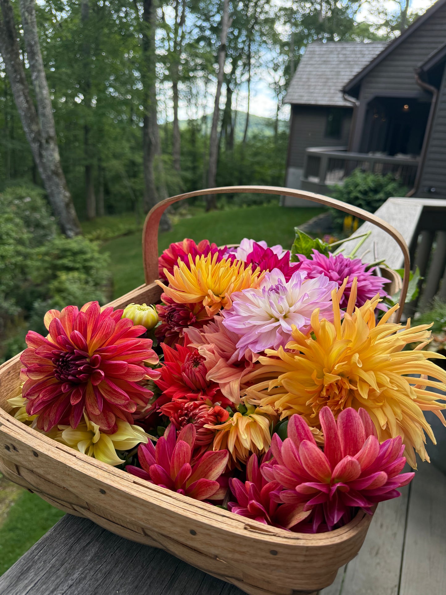 Tuesday November 18th 6pm-8pm: Learn the Art of Floral Design with Marianne Smith