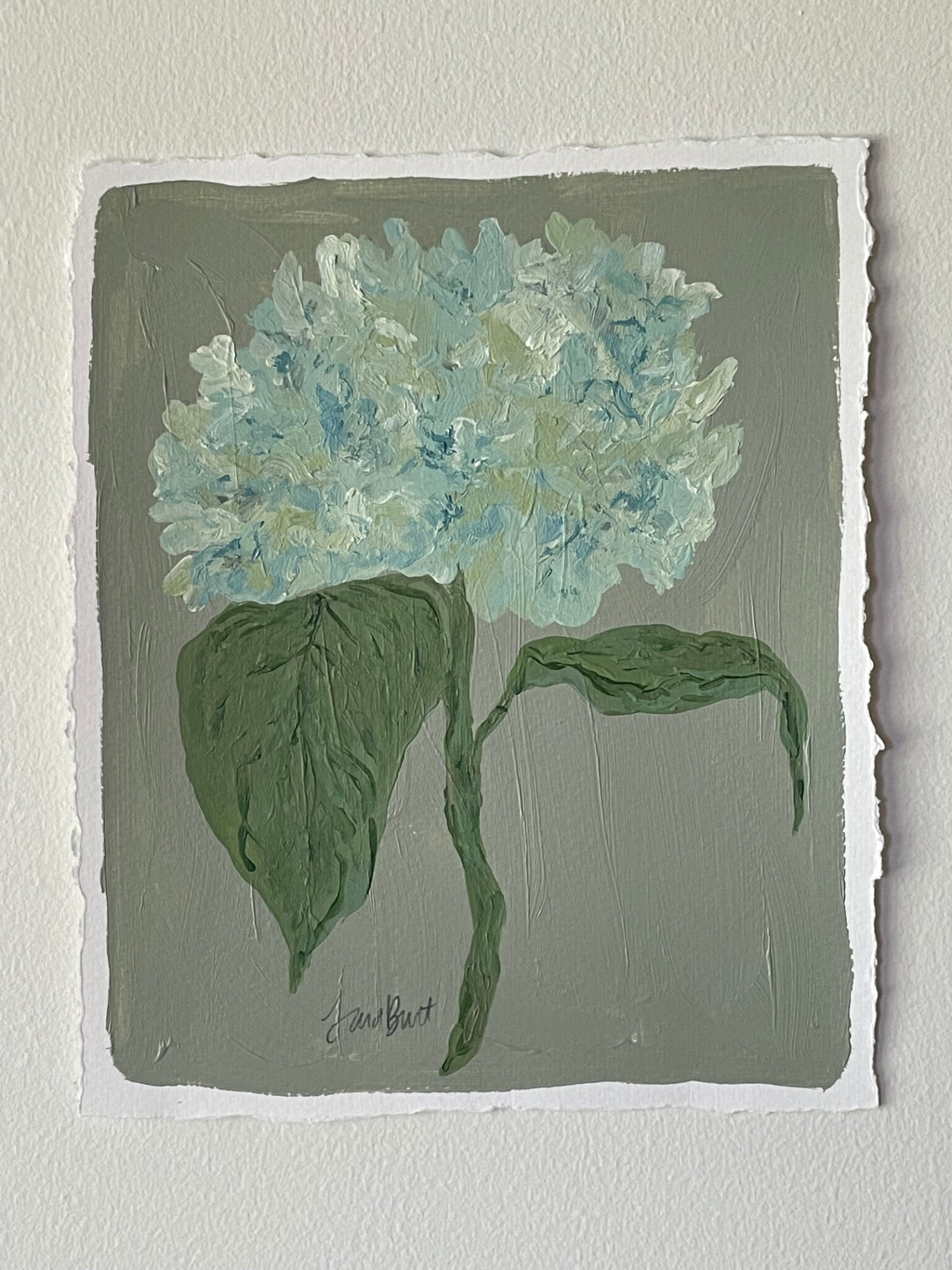 Antique Hydrangea on Green no. 1