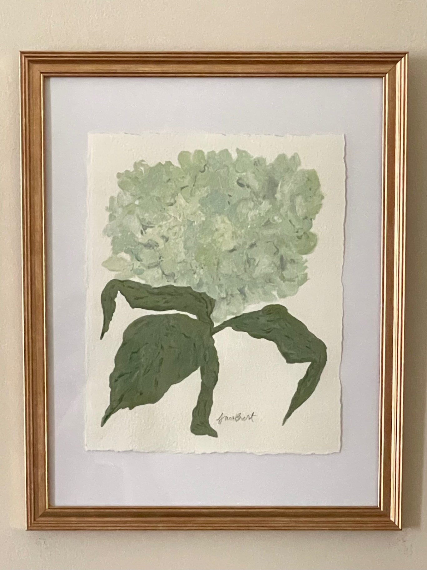 Antique Hydrangea on Paper