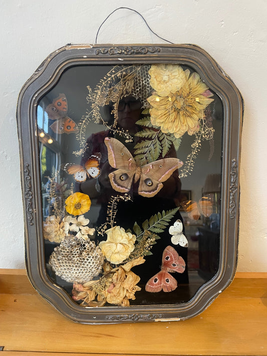 Butterfly and Flower Frame Large 