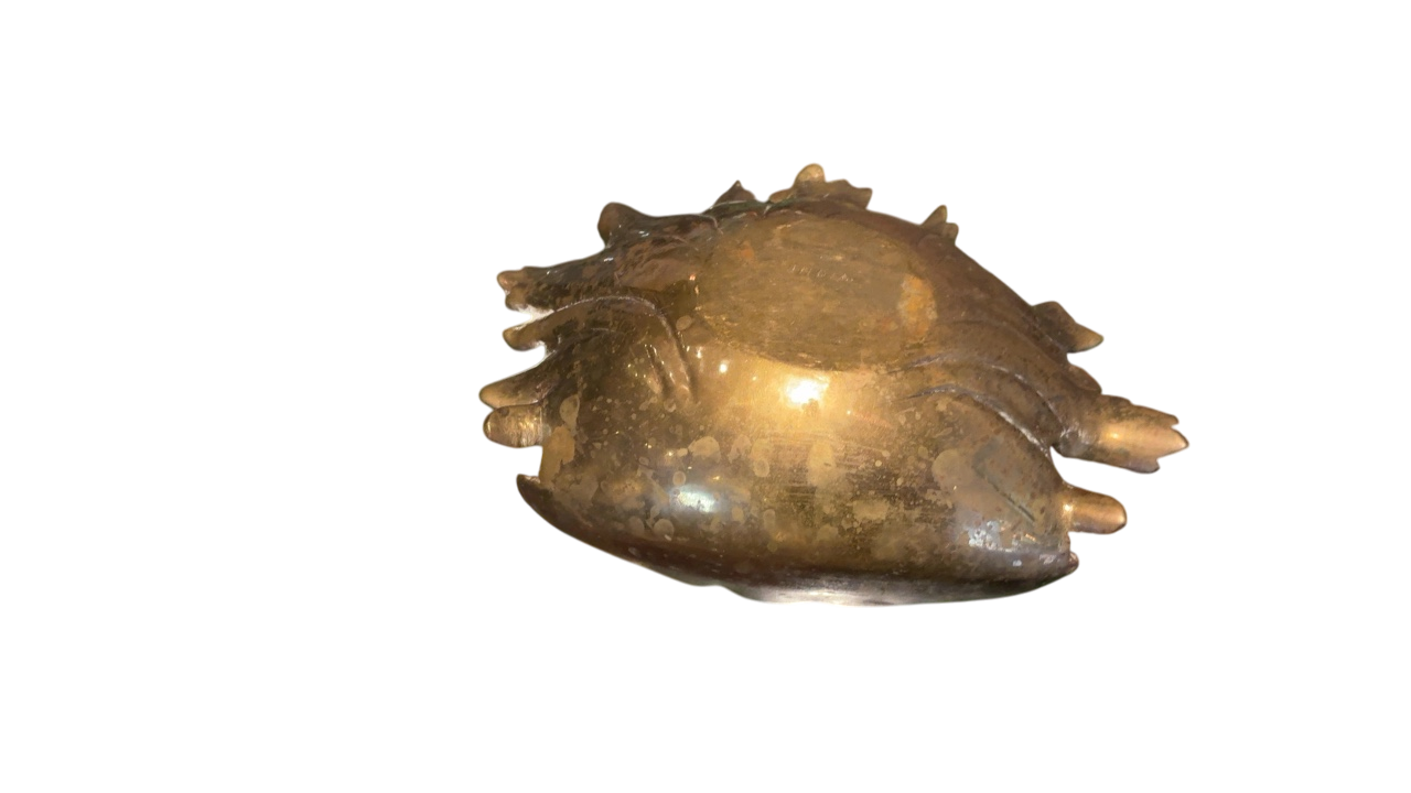 Brass Shell Bowl