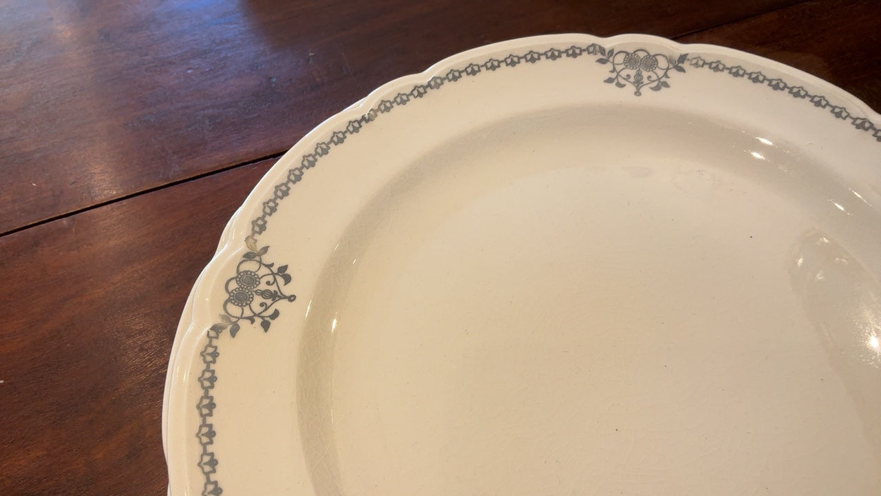 dinner plates - set of 4
