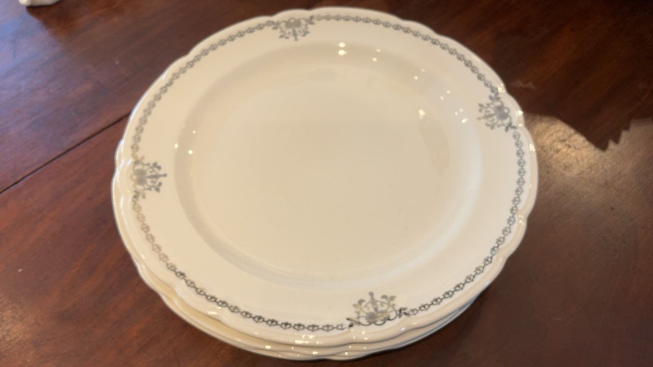 dinner plates - set of 4