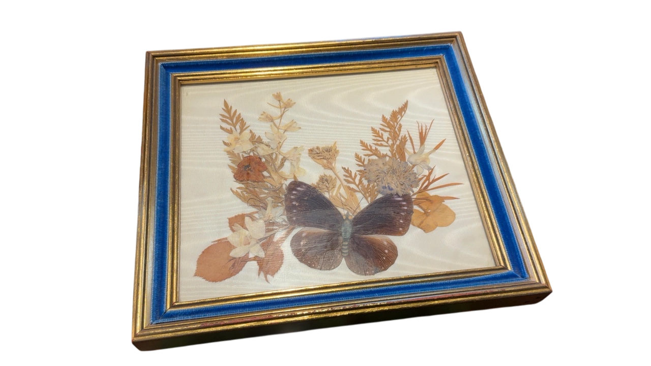 Pressed Flower & Butterfly 