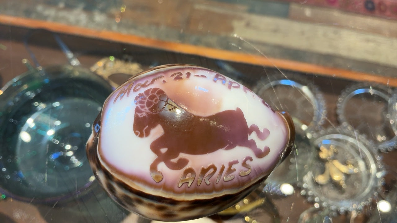 Aries Shell 