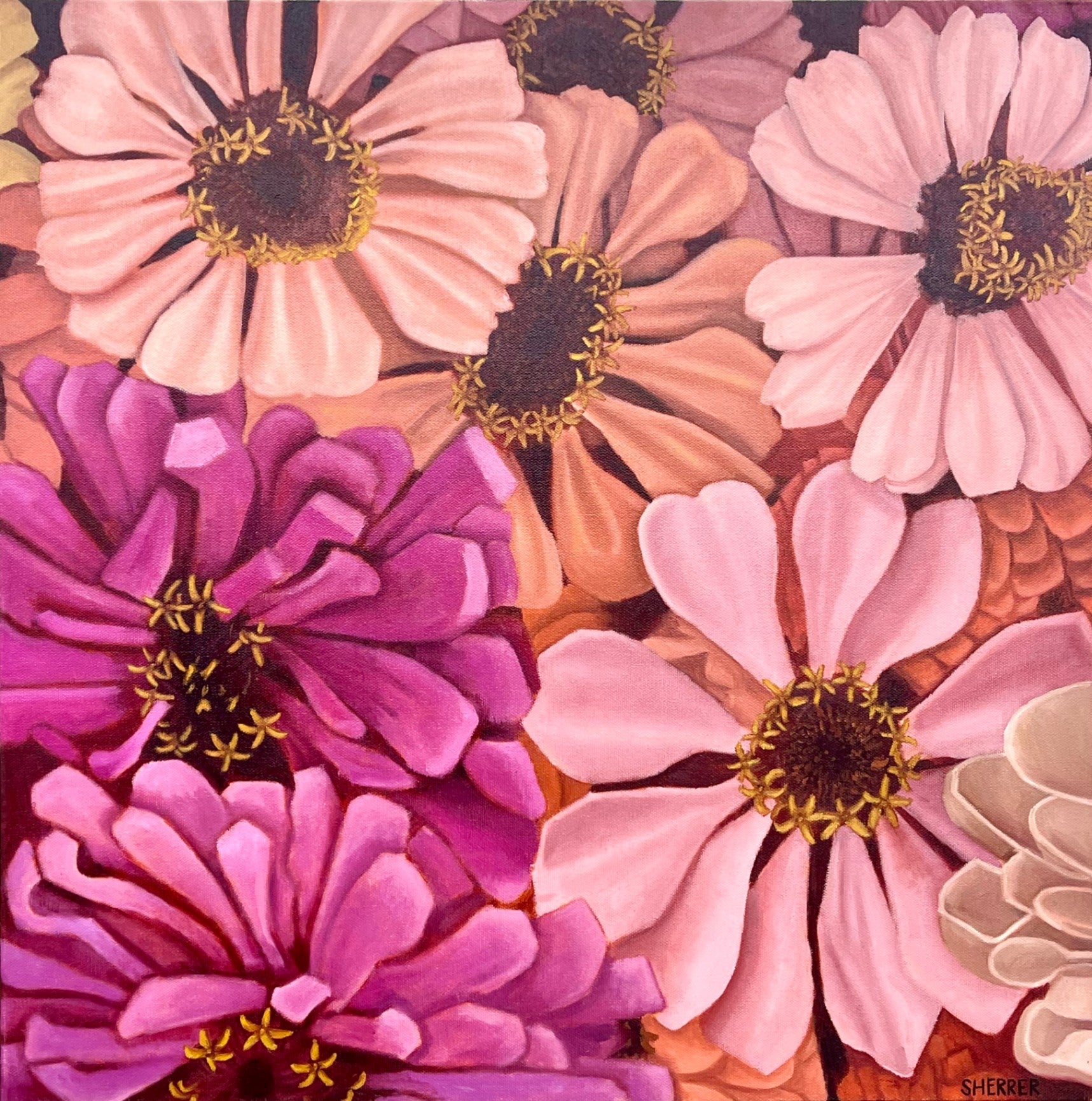 "Zoomed Zinnias" by Caroline Sherrer, Oil on Canvas, 24x24"