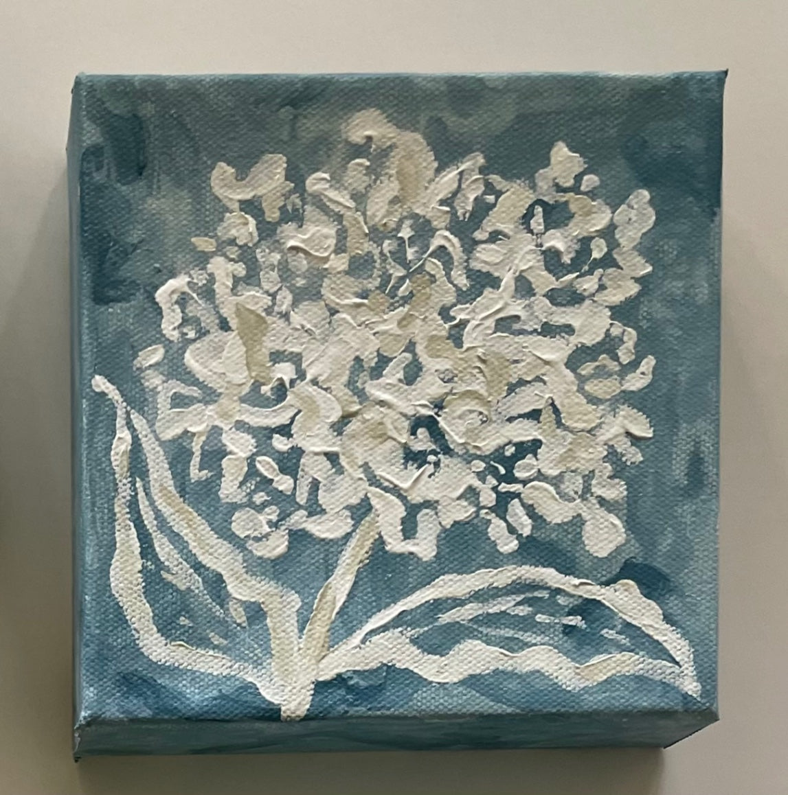White Hydrangea on Blue 