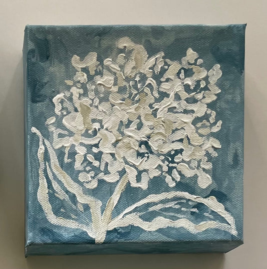White Hydrangea on Blue 