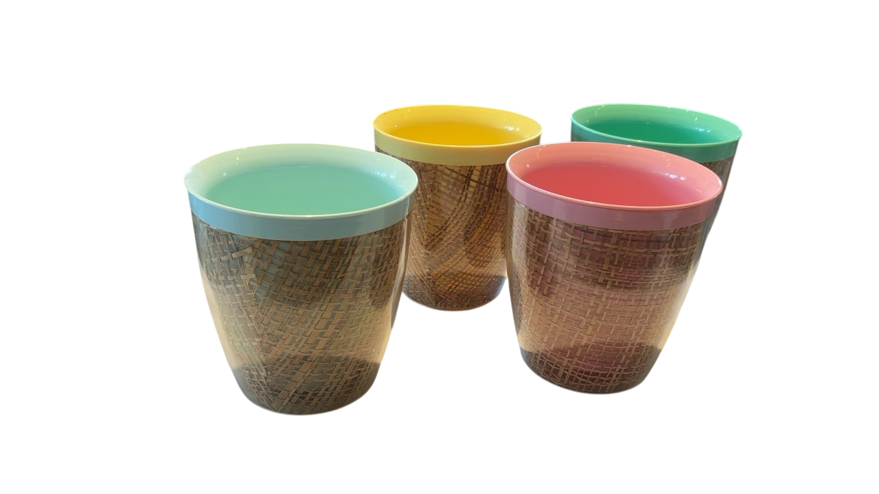 Multicolor Raffia Tumblers (4)