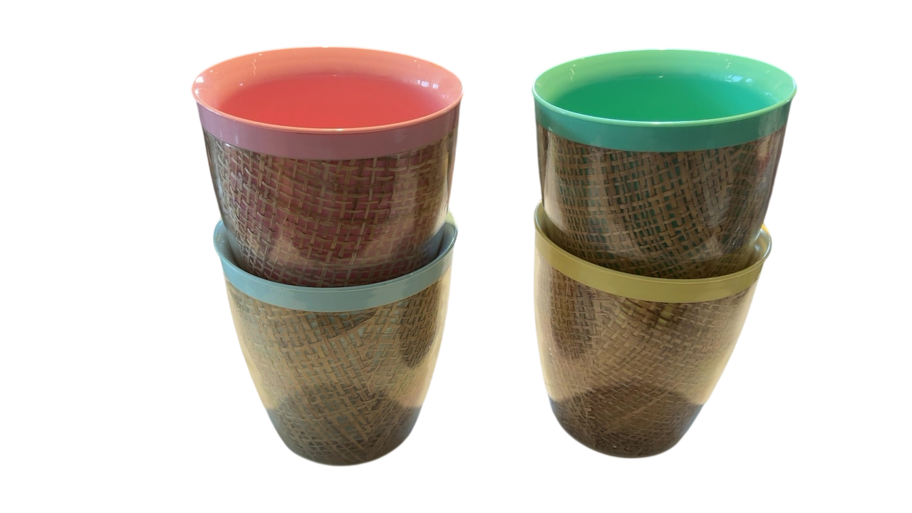 Multicolor Raffia Tumblers (4)