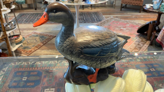 Duck