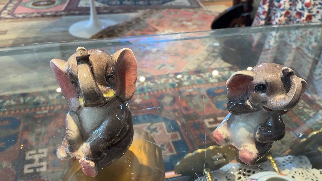 Elephant S&P