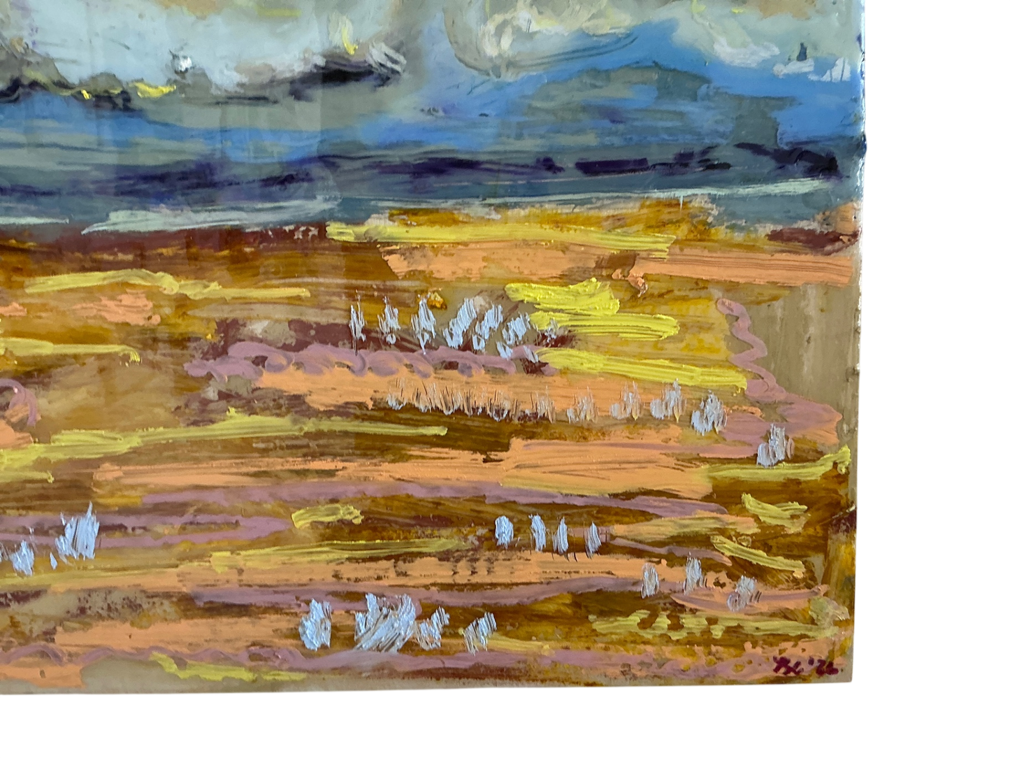 Stormy fields