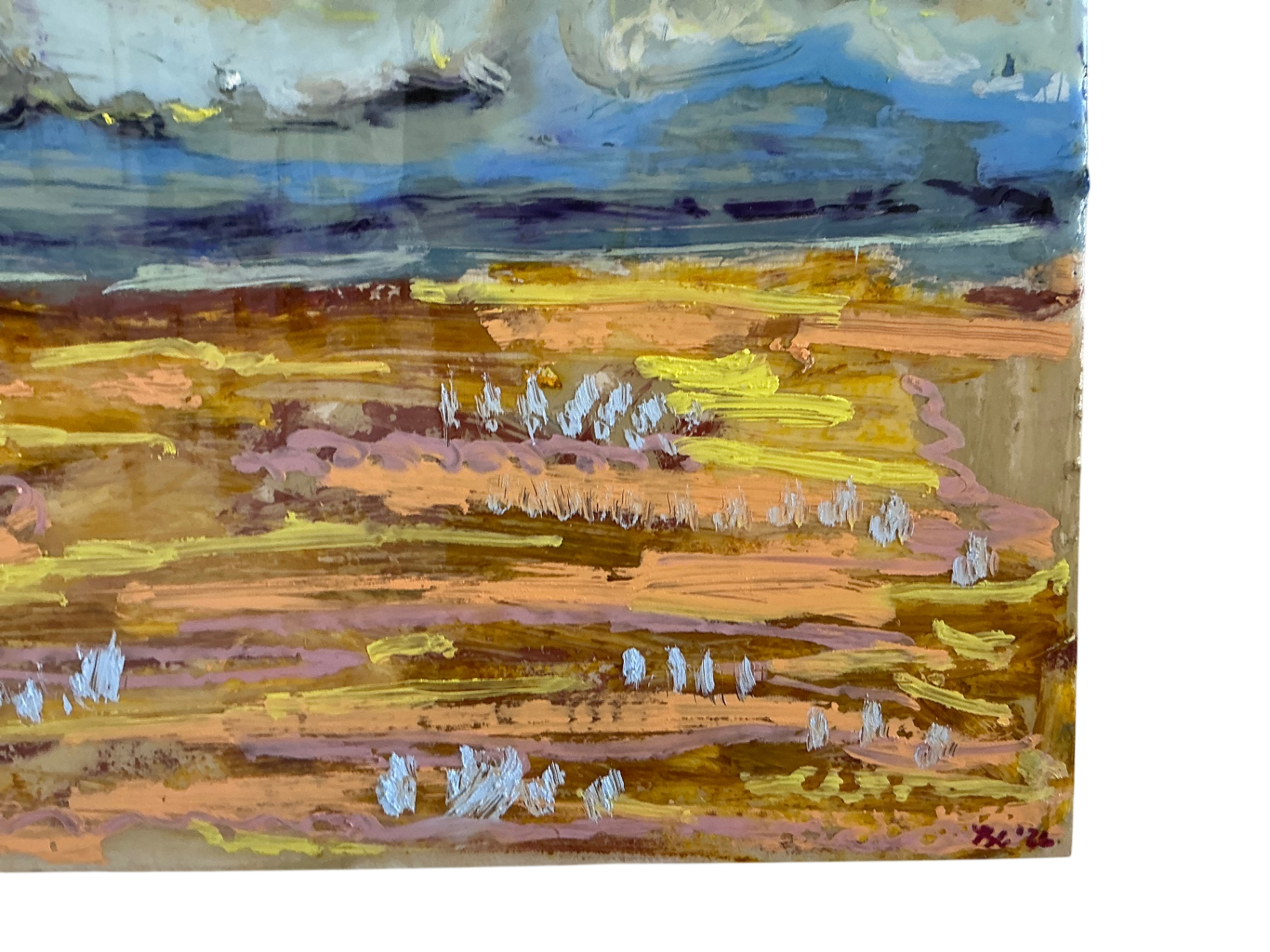 Stormy fields
