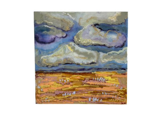 Stormy fields