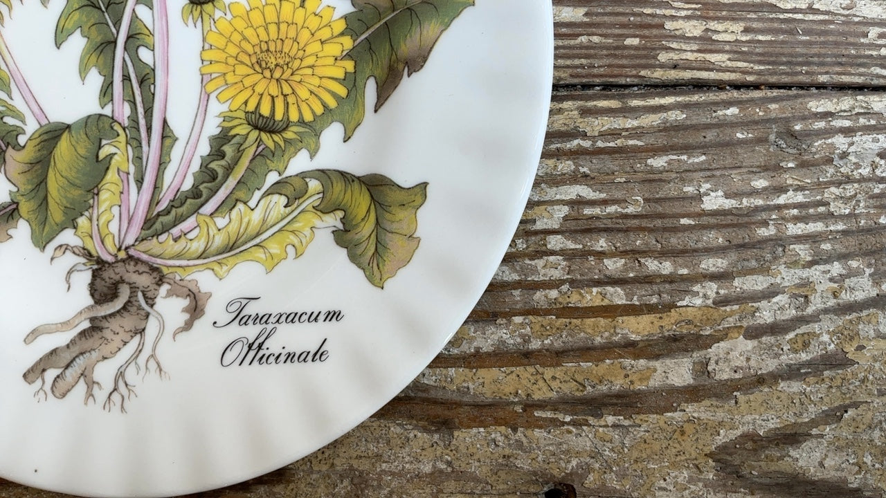 Floral & Insect Plate- Taraxacum Officinale (8”)