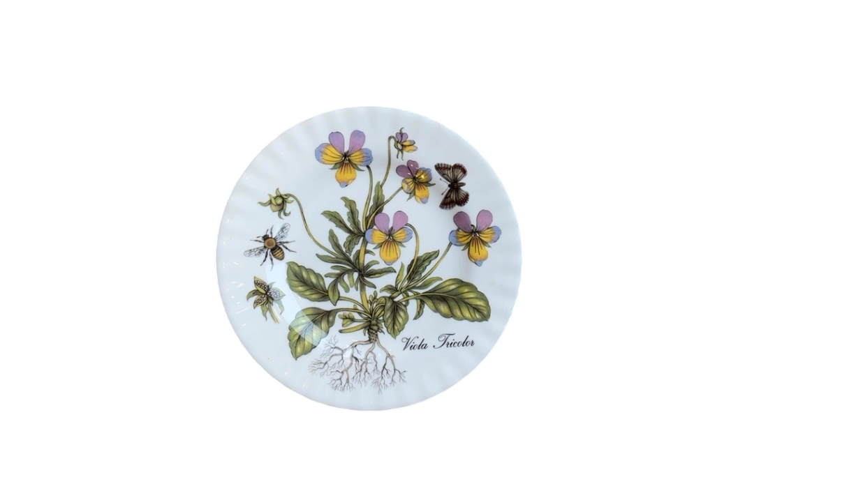 Floral & Insect Plate- Viola Tricolor (8”)
