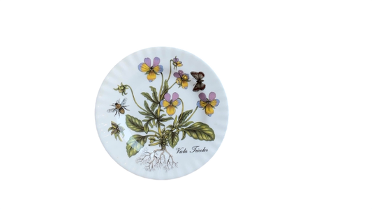 Floral & Insect Plate- Viola Tricolor (8”)