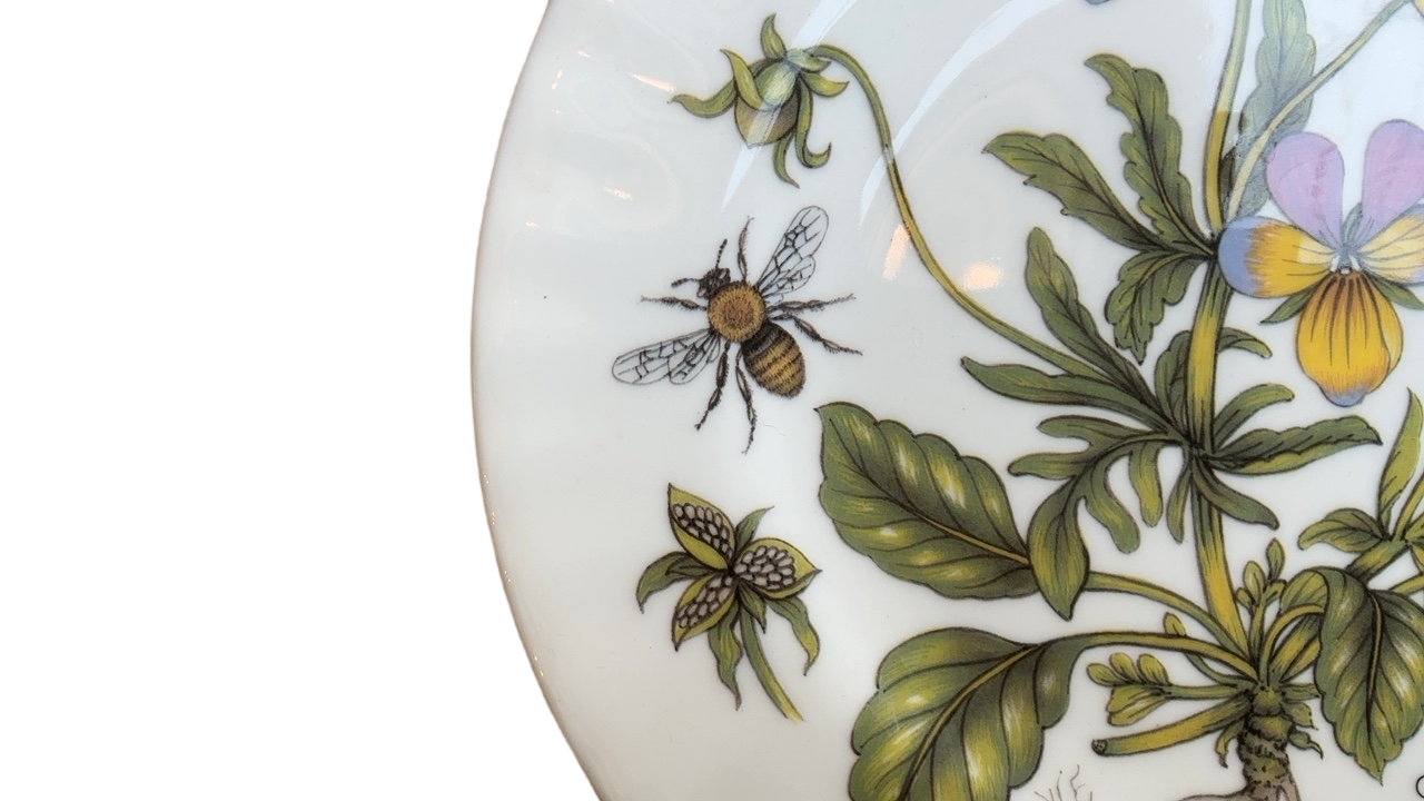 Floral & Insect Plate- Viola Tricolor (8”)