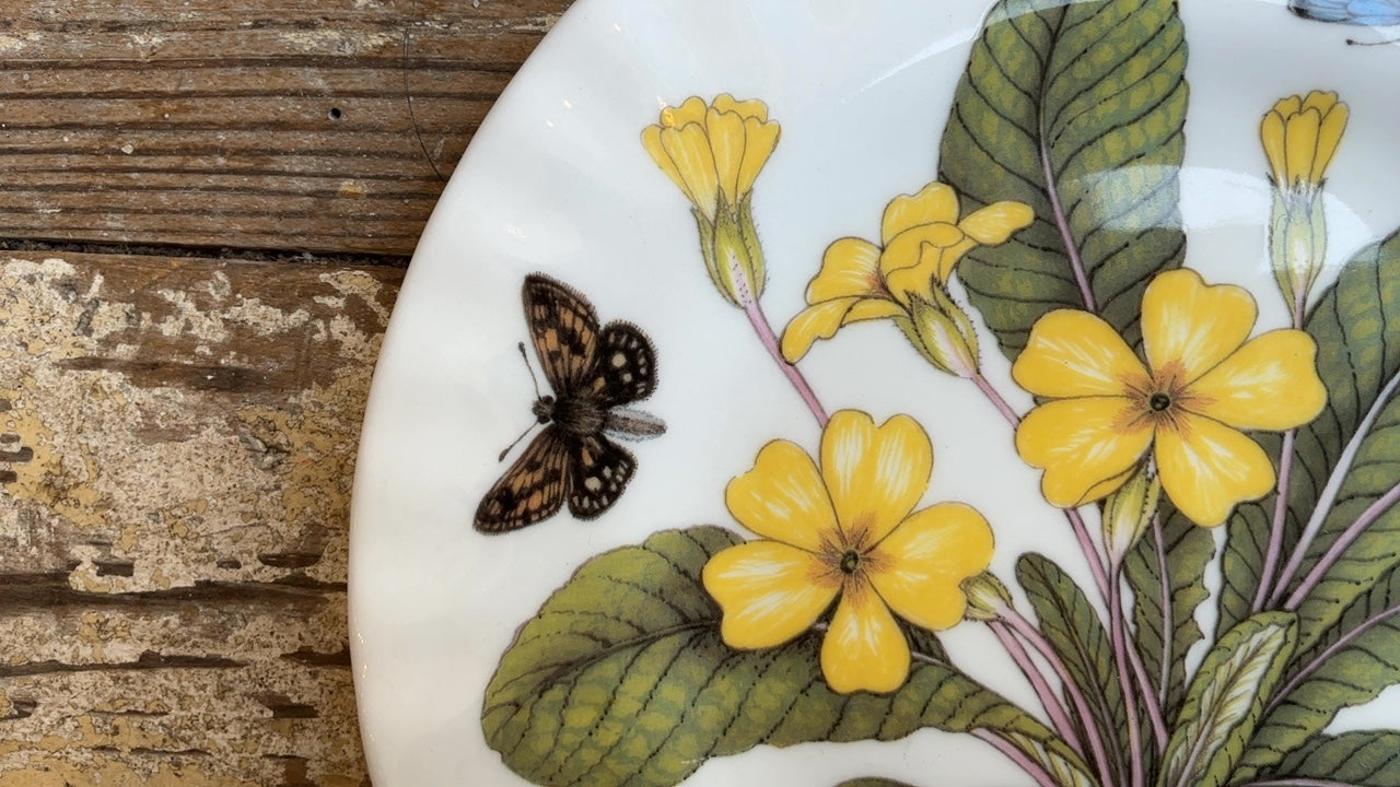 Floral & Insect Plate- Primula Vulgaris (8”)