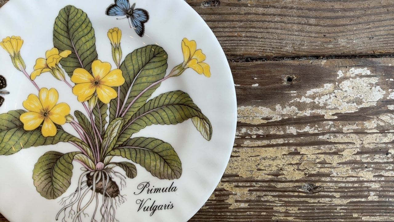 Floral & Insect Plate- Primula Vulgaris (8”)