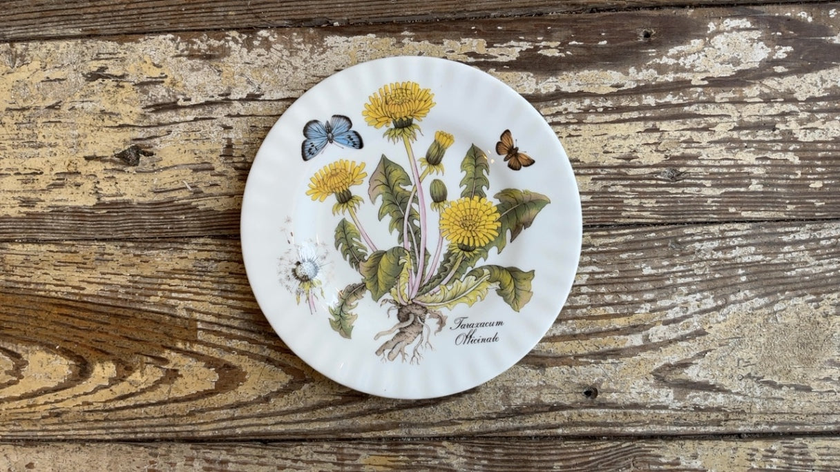Floral & Insect Plate- Taraxacum Officinale (8”)