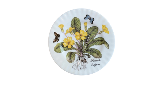 Floral & Insect Plate- Primula Vulgaris (8”)