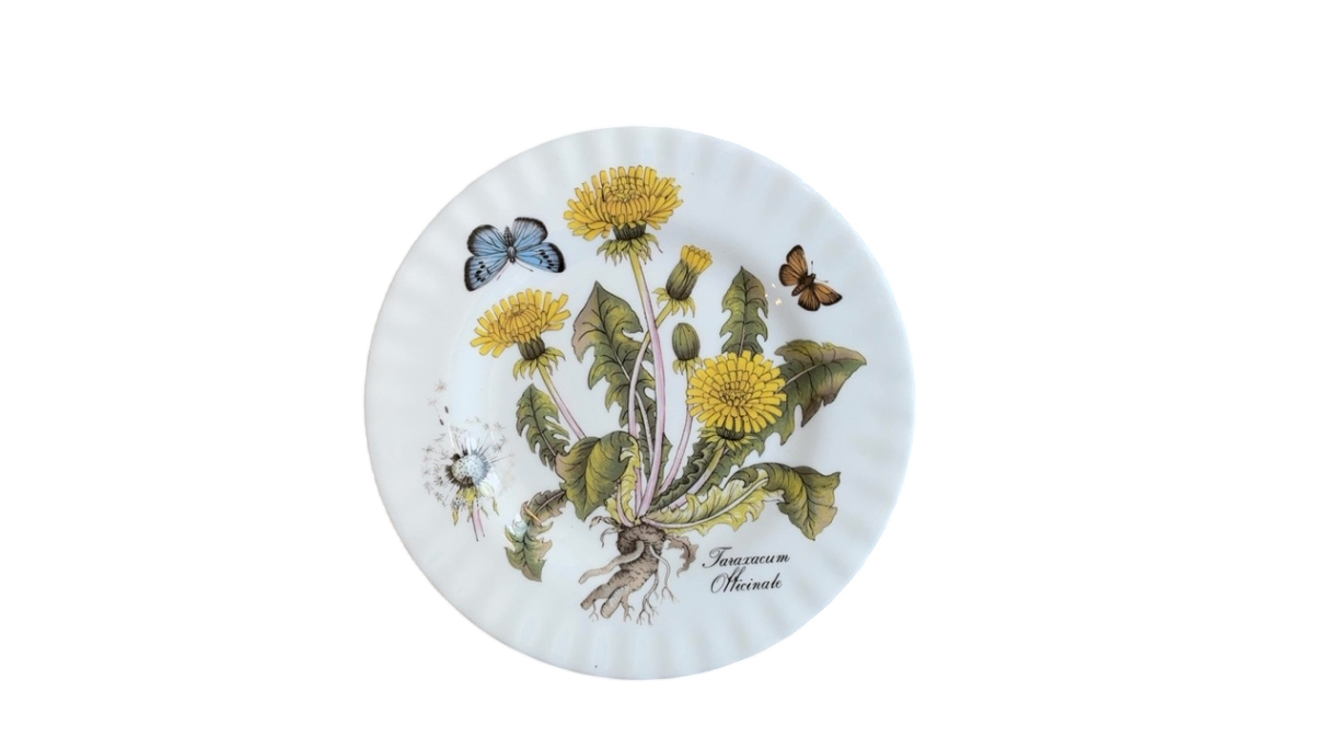 Floral & Insect Plate- Taraxacum Officinale (8”)