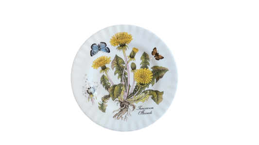 Floral & Insect Plate- Taraxacum Officinale (8”)