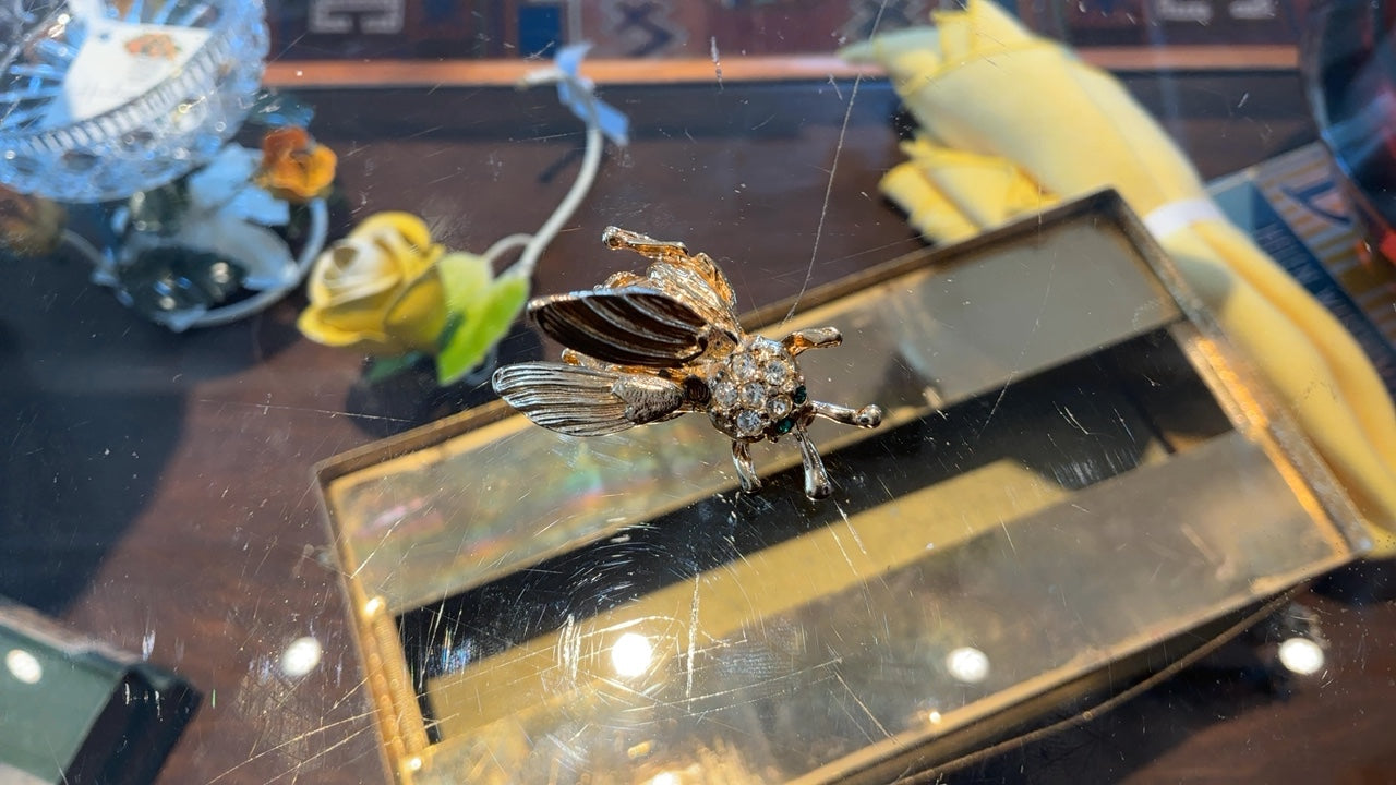 Insect Pin