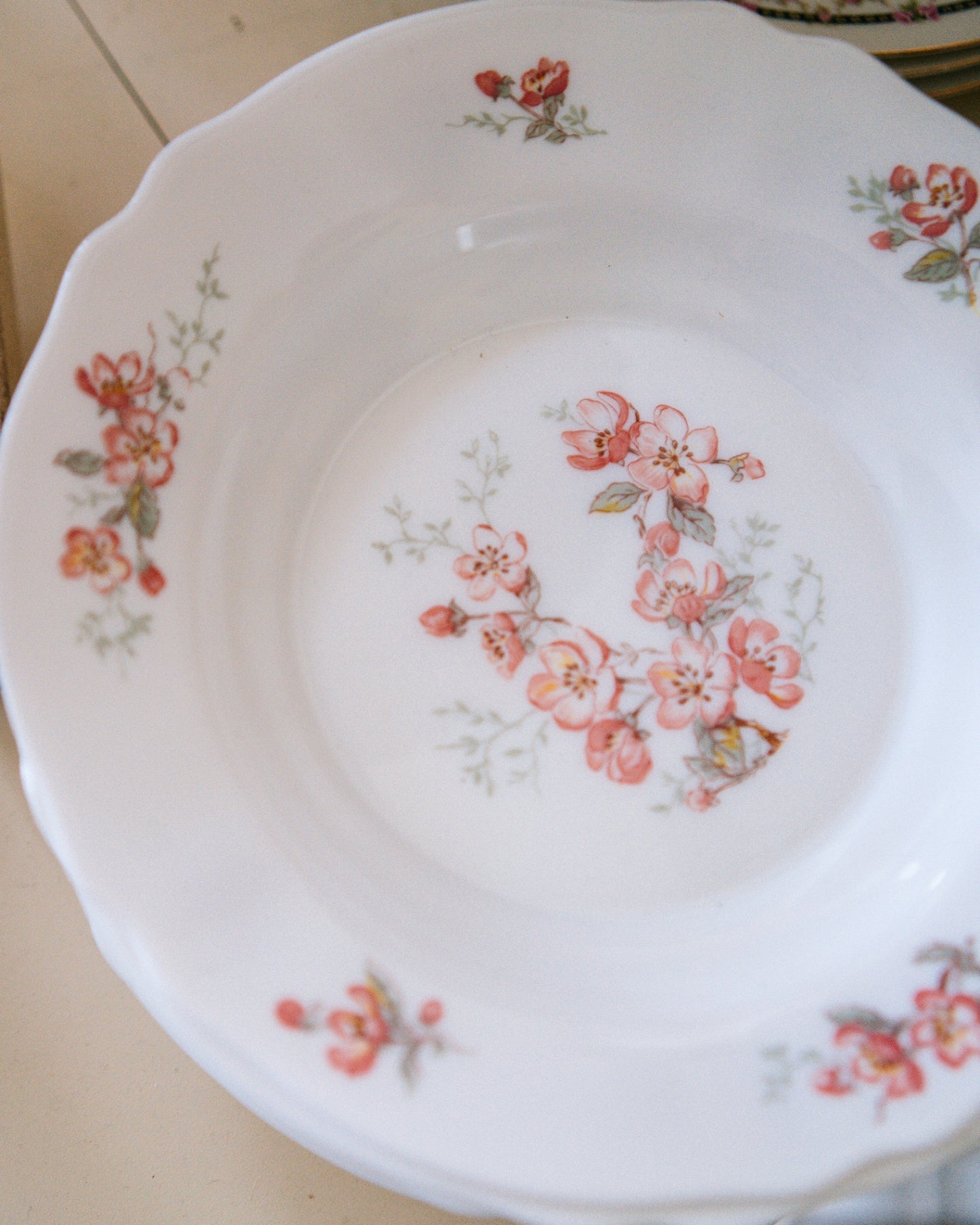 Set of 11 Floral Plates