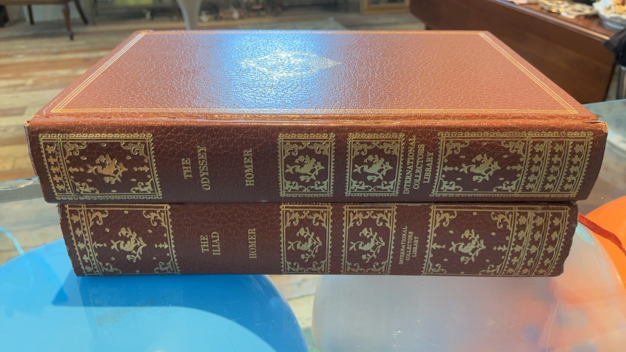 The Iliad and the odyssey book pair