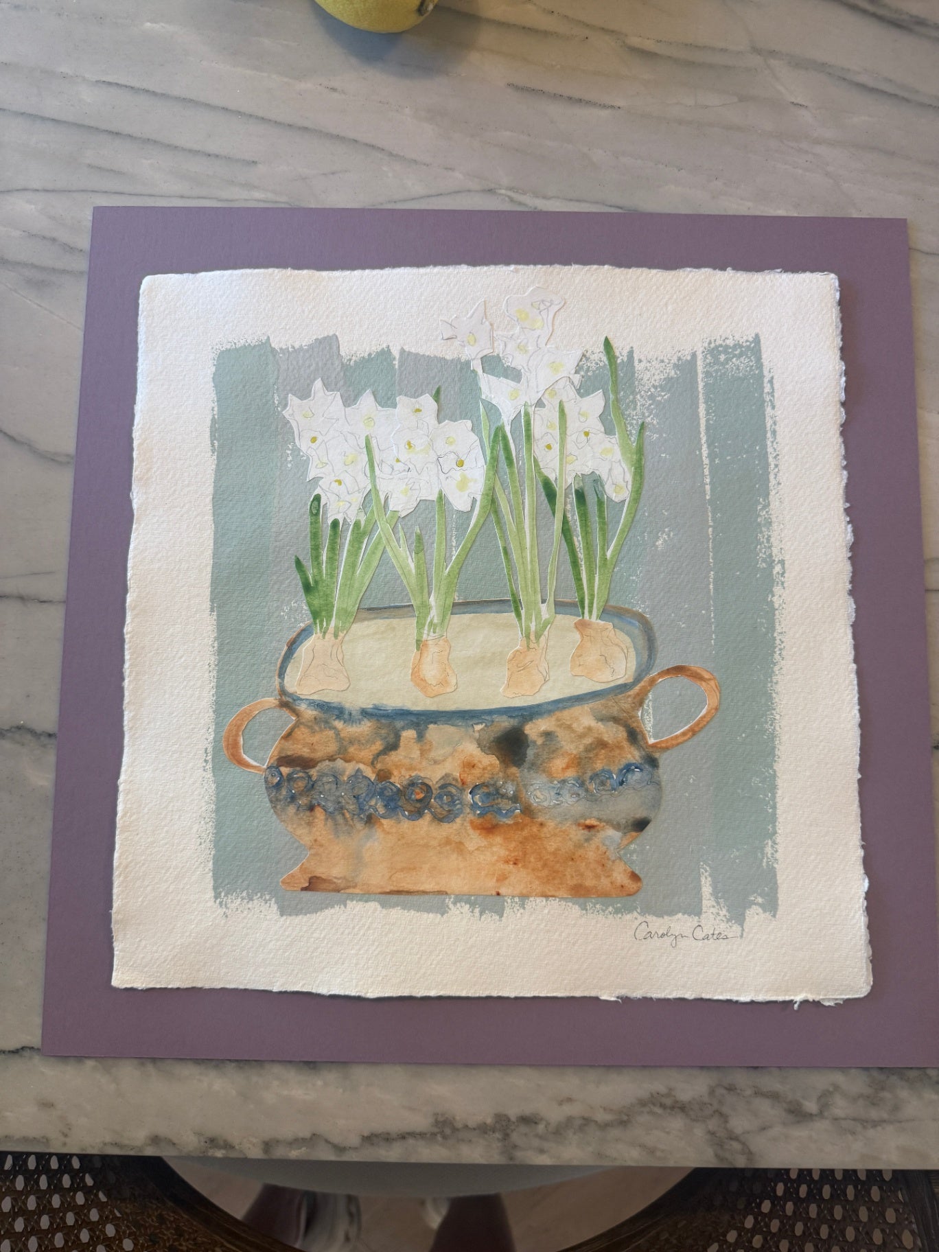 Paperwhites
