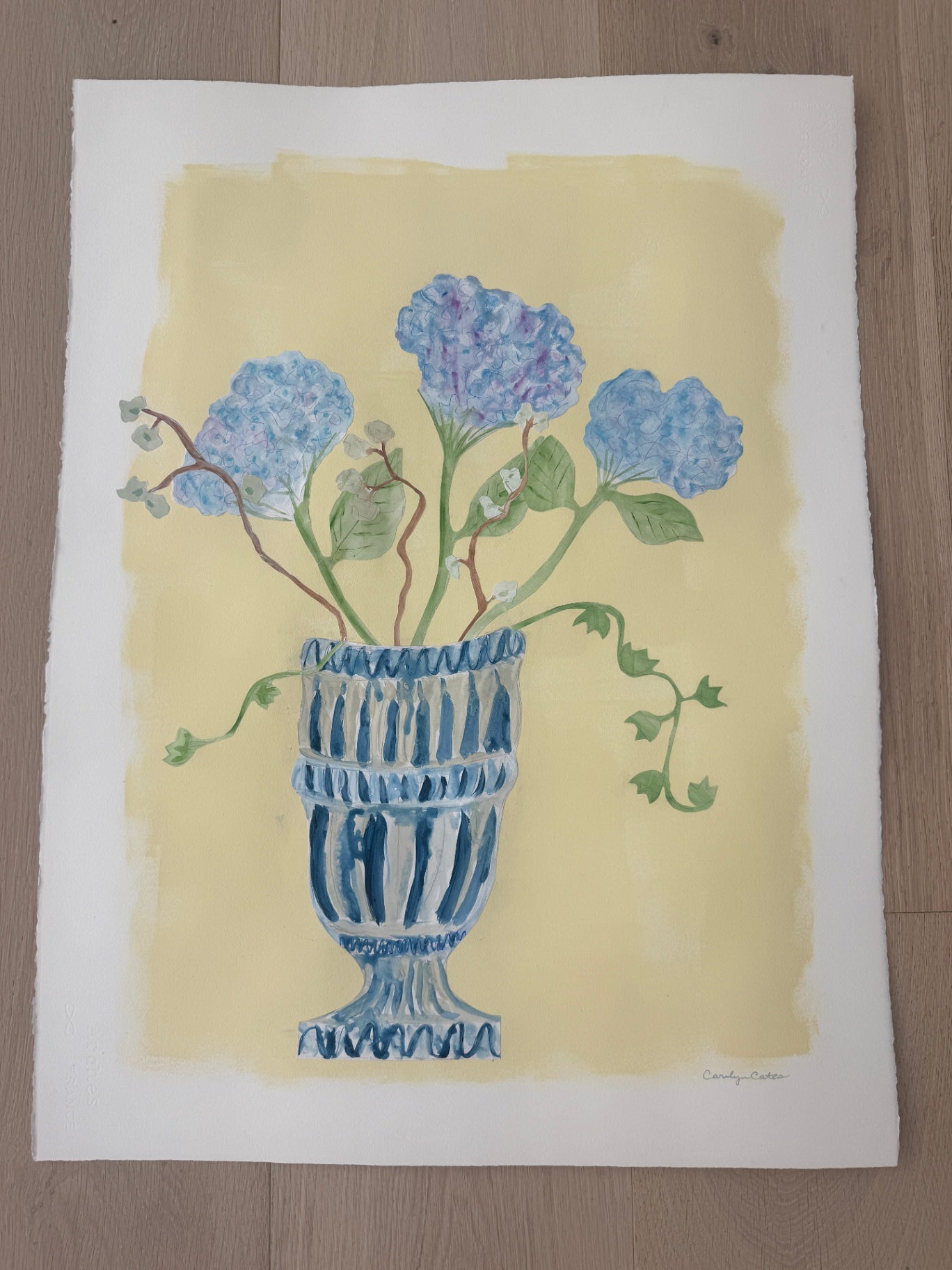 Blue Hydrangeas