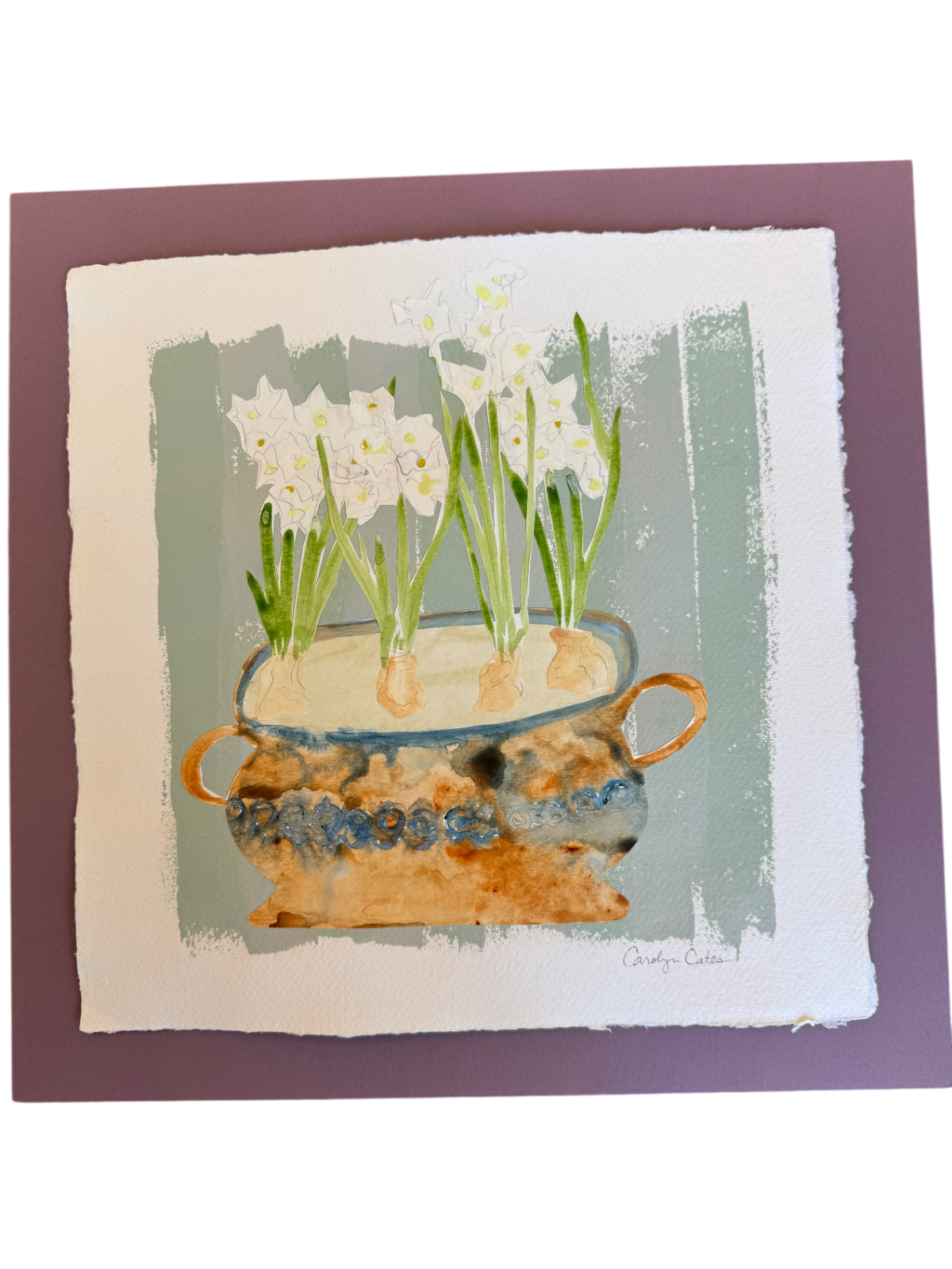 Paperwhites