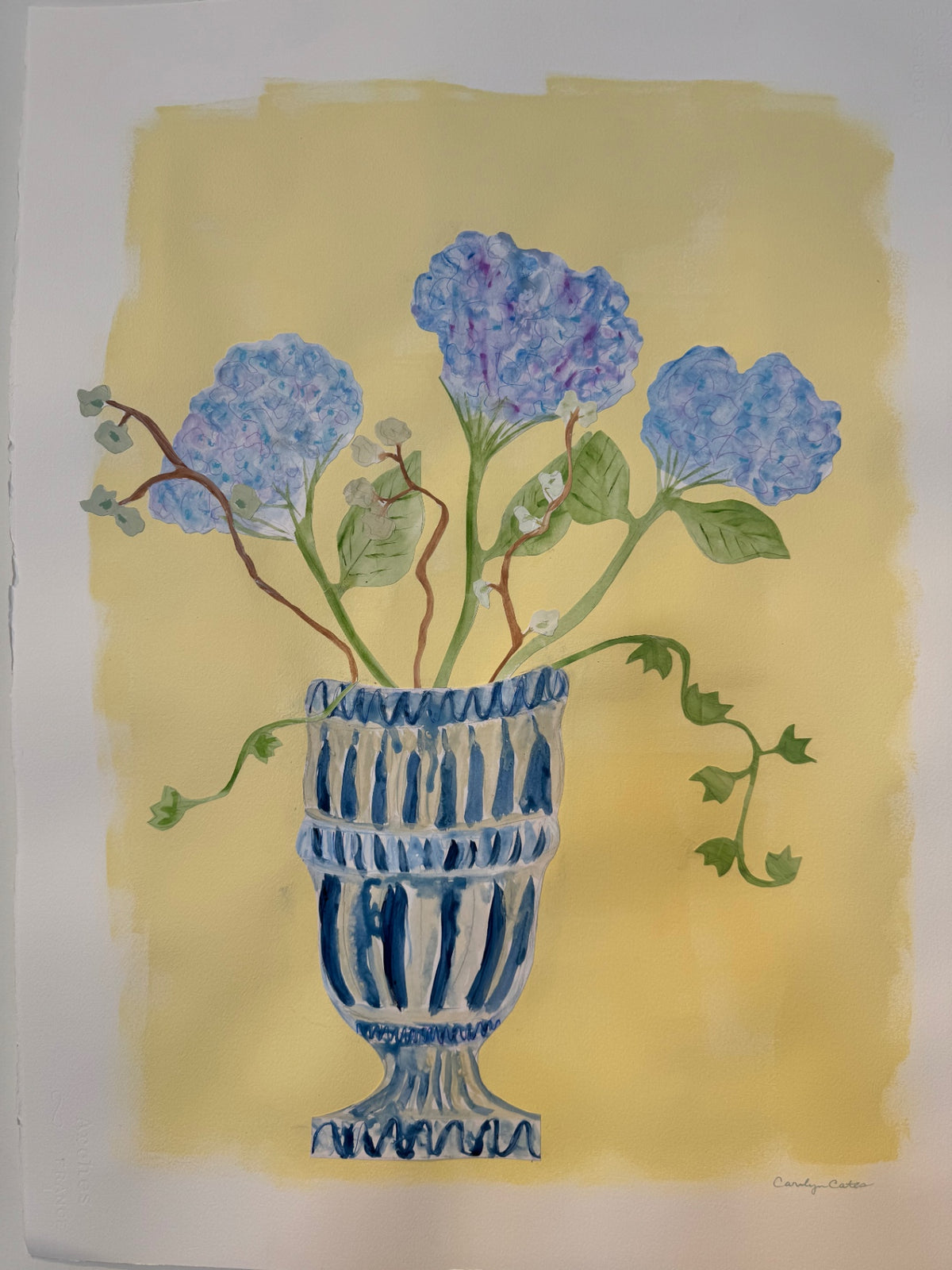 Blue Hydrangeas