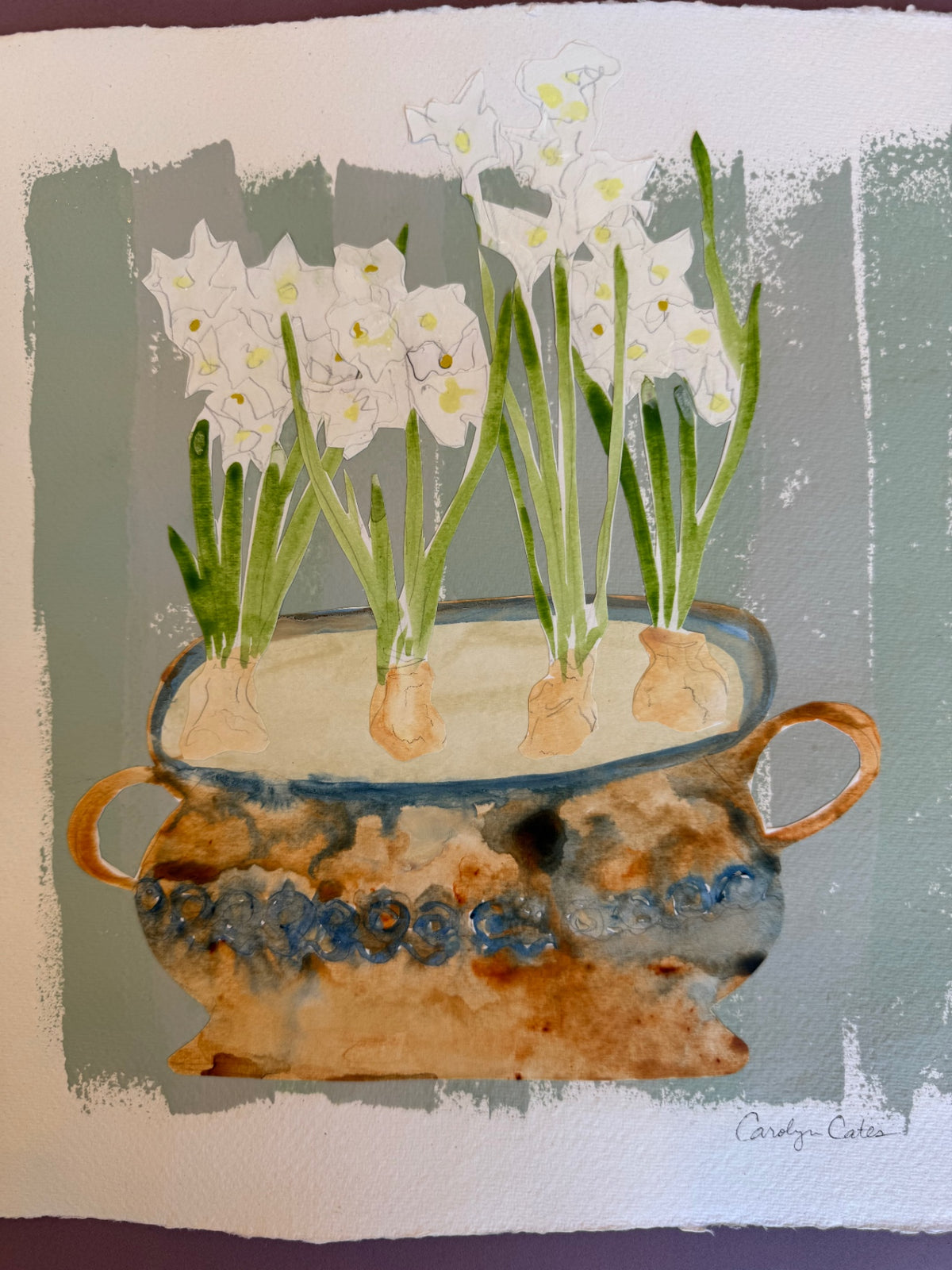 Paperwhites