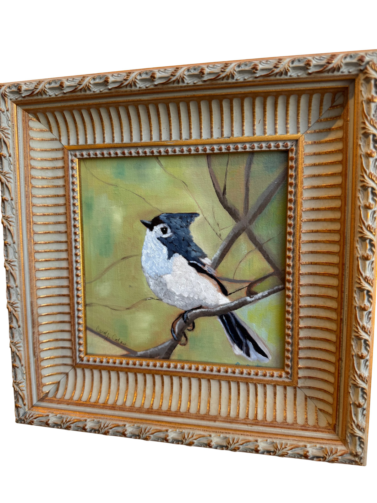 Tufted titmouse