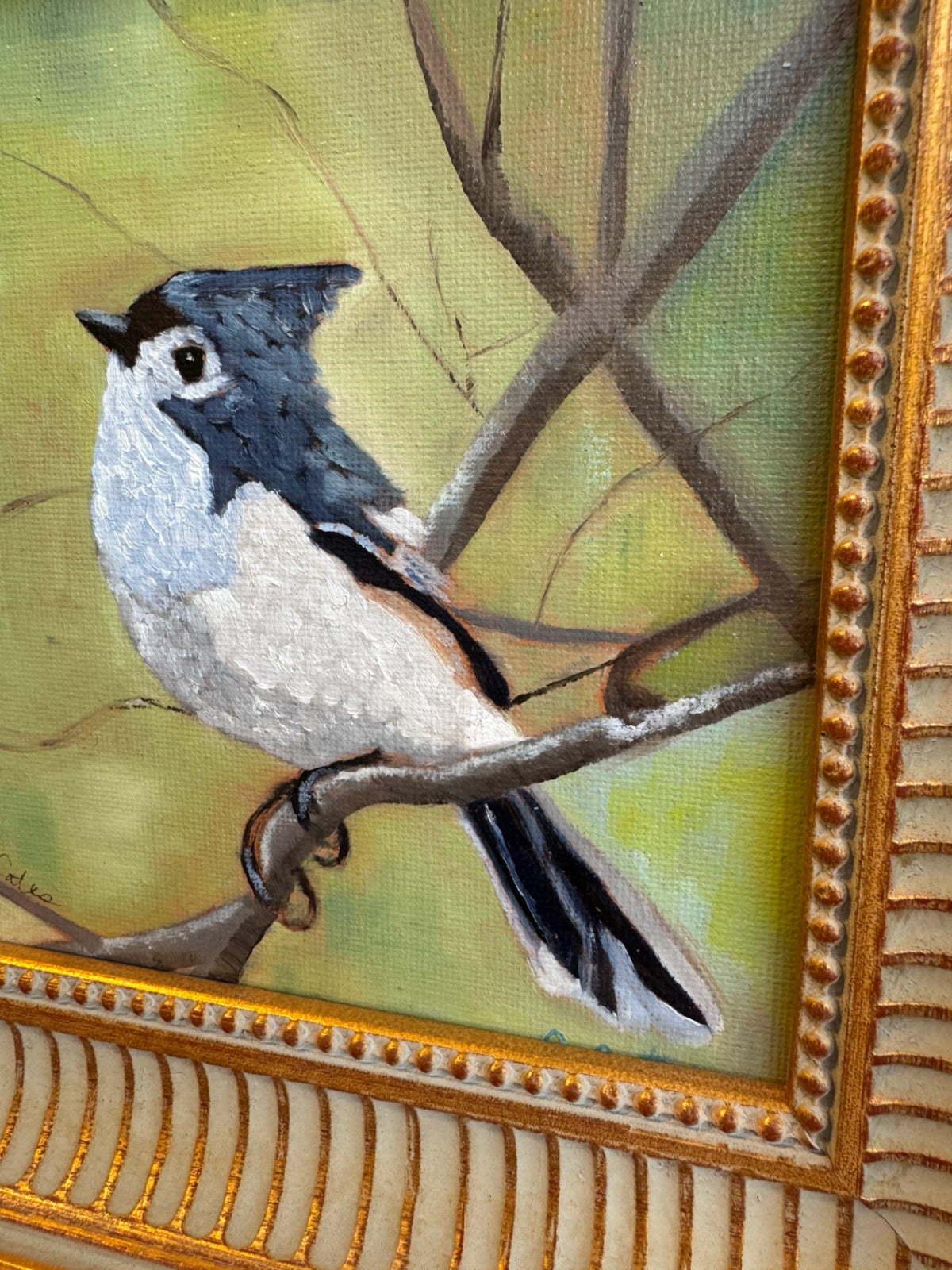 Tufted titmouse