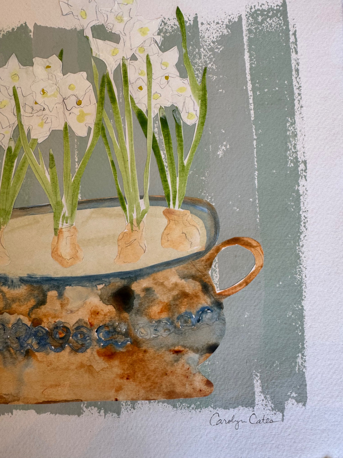 Paperwhites